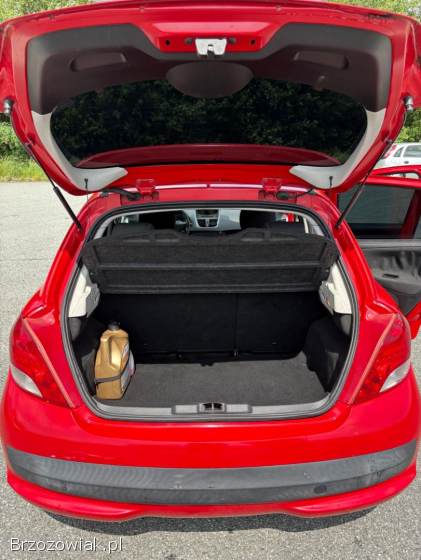 Peugeot 207 2010