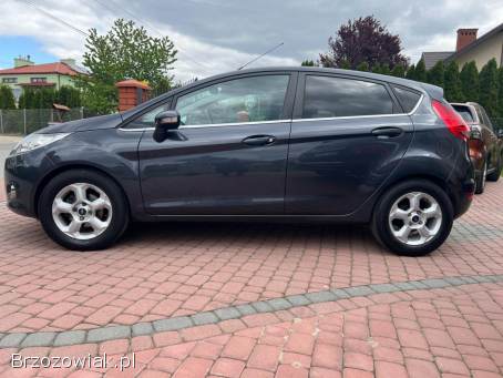 Ford Fiesta 1,  25 b Titanum 2010