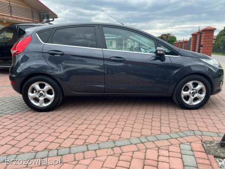 Ford Fiesta 1,  25 b Titanum 2010