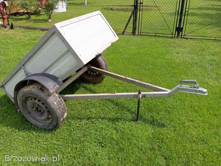 Przyczepka quad