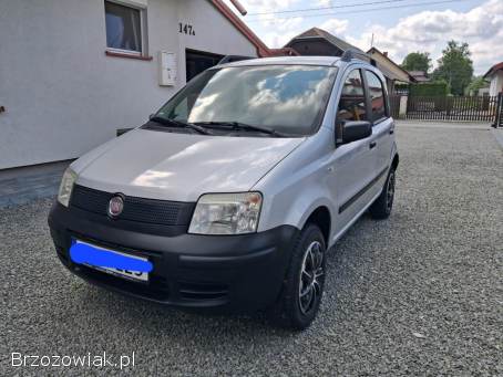 Fiat Panda 4x4 1.  2 2009