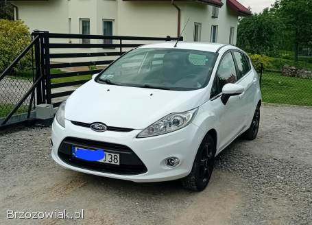 Ford Fiesta GAZ,  KLIMATYZACJA 2009