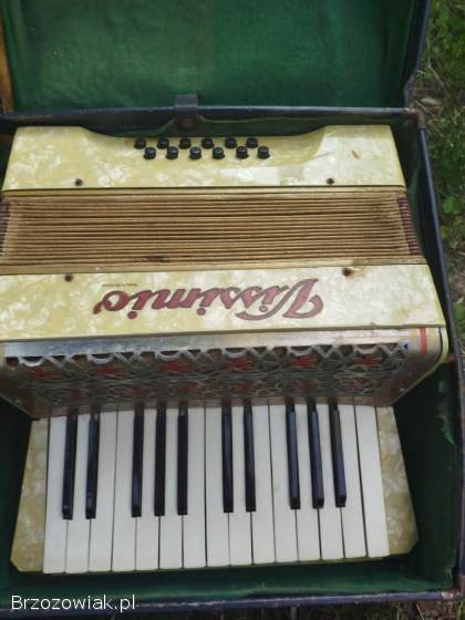 Harmonia