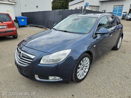 Opel Insignia 2.  0CDTI AUTOMAT 2010