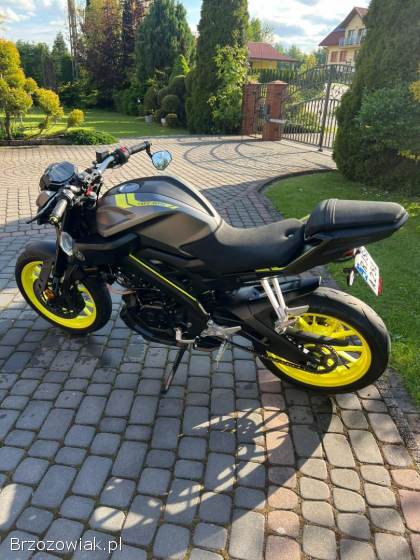 Yamaha MT Night Fluo 2018
