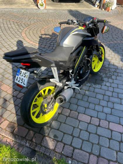 Yamaha MT Night Fluo 2018