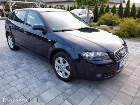 Audi A3 Z Niemiec 102Ps 2006