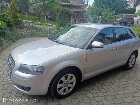 Audi A3 2.  0 TDI  2004