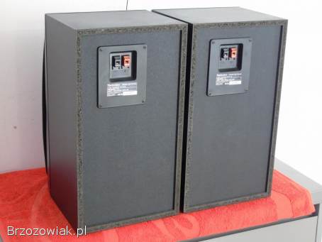 Śliczne kolumny Technics SB-CH515 sprawne 2 x 100 wat.  WYSYŁKA