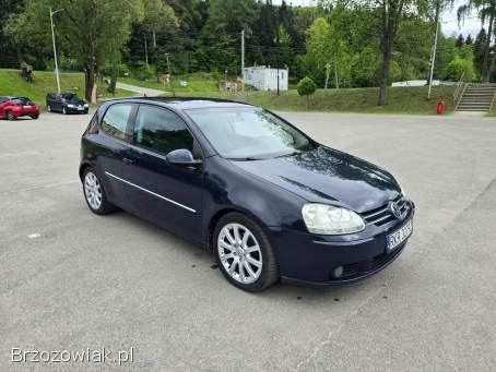 Volkswagen Golf 5 v 1.  9 tdi bkc  2005