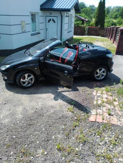 Peugeot 206 Coupe 2004
