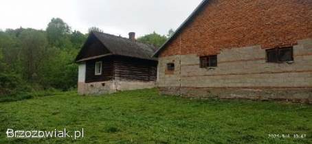 Sprzedam dom i budynki gospodarcze