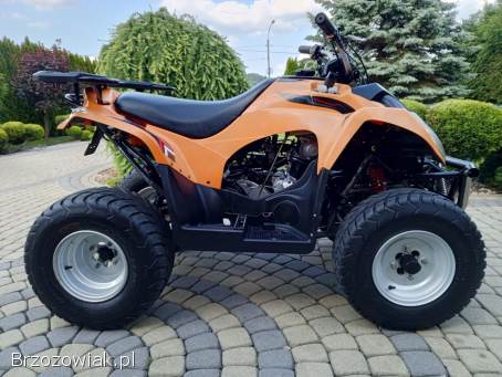 Daelim et 300 (sym,  Kymco)