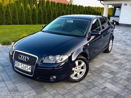 Audi A3 Z Niemiec 102Ps 2006