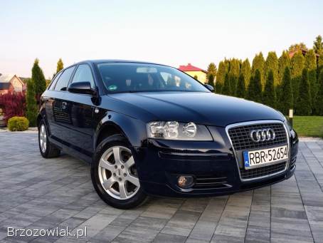 Audi A3 Z Niemiec 102Ps 2006