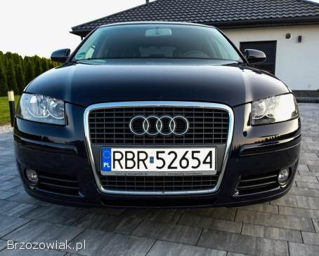 Audi A3 Z Niemiec 102Ps 2006