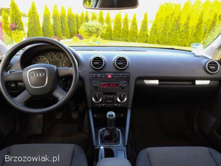 Audi A3 Z Niemiec 102Ps 2006