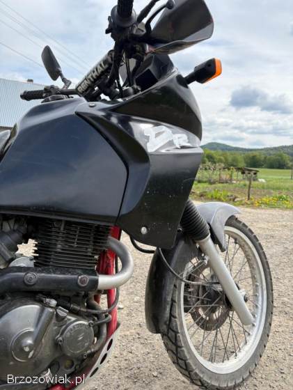 Suzuki DR 650 rse 1992