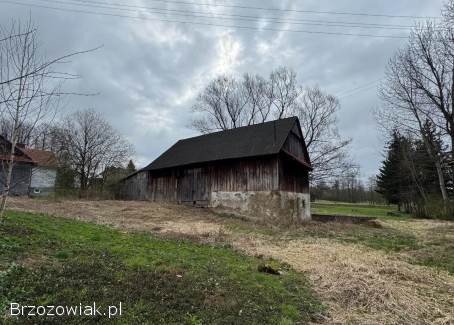 Stylowy Dom Z Zabudową Gospodarczą Na Uzbrojonej Działce 14 Arów w Bliznem