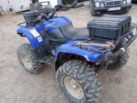 Yamaha grizzly 660
