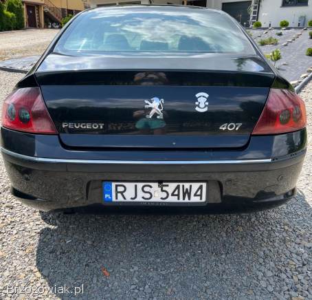 Peugeot 407 2.  0 HDI 2004