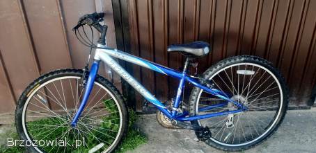 Rower Trek 800 24 cale