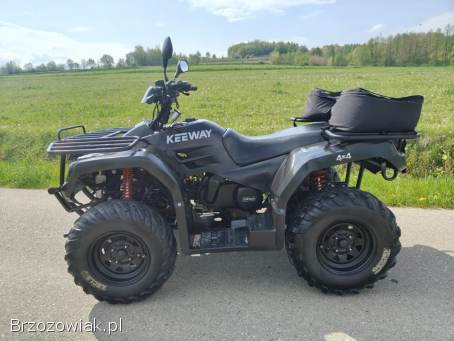 Quad Keeway GTX 300 4x4 z Pługiem do śniegu