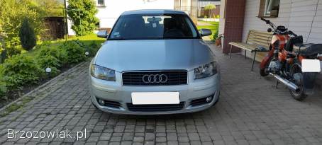 Audi A3 8P 2004