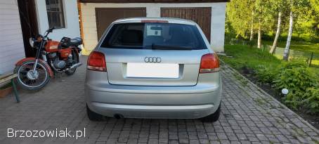 Audi A3 8P 2004