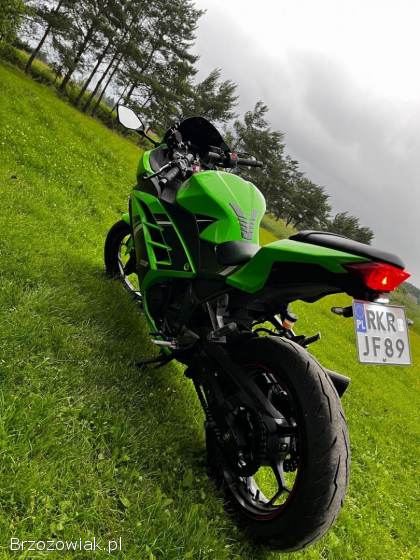 Kawasaki Ninja 300 ABS 2016