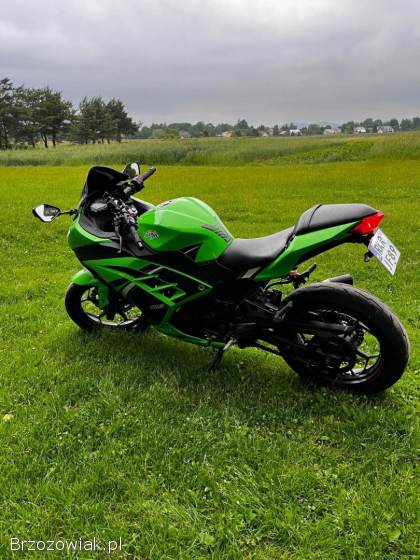 Kawasaki Ninja 300 ABS 2016