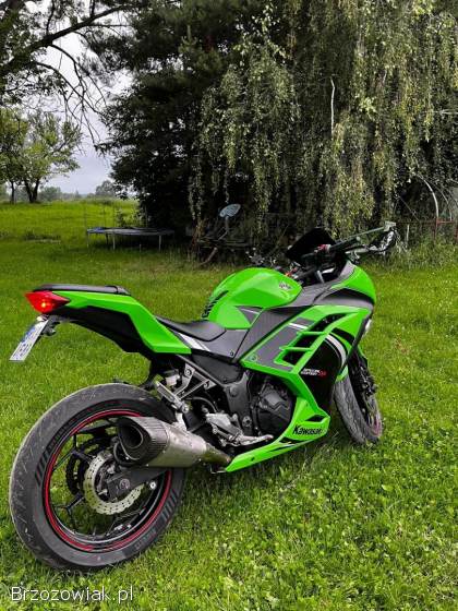 Kawasaki Ninja 300 ABS 2016