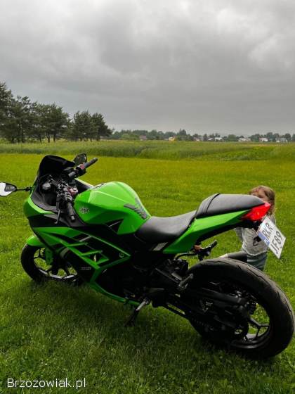 Kawasaki Ninja 300 ABS 2016