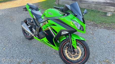 Kawasaki Ninja 300 ABS 2016