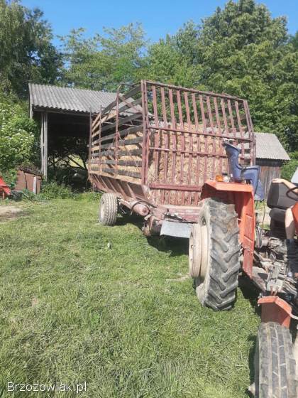 Przyczepa samozbierająca czeska