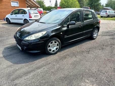 Peugeot 307 1.  6 07r 2007