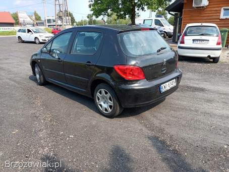 Peugeot 307 1.  6 07r 2007