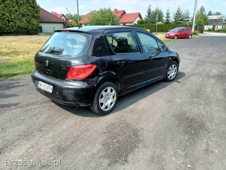 Peugeot 307 1.  6 07r 2007