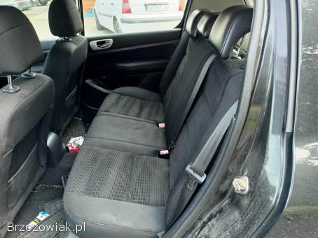 Peugeot 307 1.  6 07r 2007