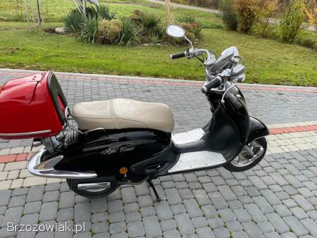 Znen Retro Retro 2009