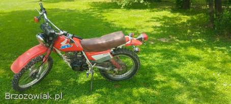 Honda XL Cross  1982