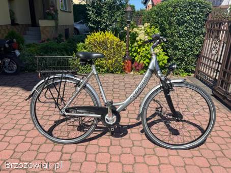 Rower Pegasus milano GT