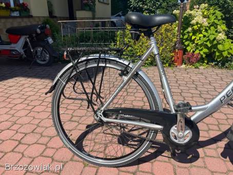 Rower Pegasus milano GT