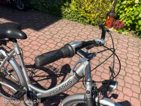 Rower Pegasus milano GT