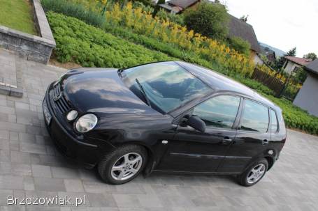 Volkswagen Polo 2002