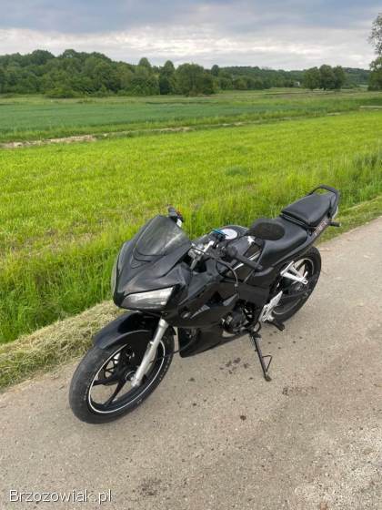 Romet RR Rs50 2012