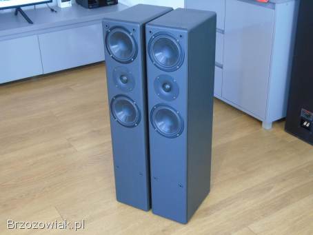 Kolumny IQ Gent 505 Perlless i Vify świetne stereo.  DOSTAWA.