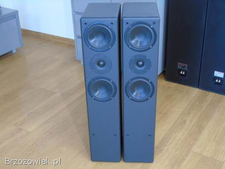 Kolumny IQ Gent 505 Perlless i Vify świetne stereo.  DOSTAWA.