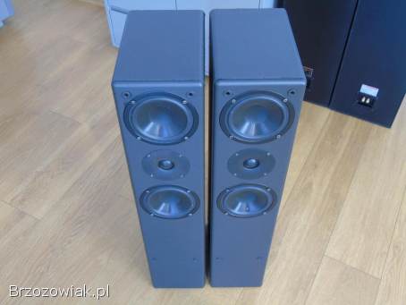 Kolumny IQ Gent 505 Perlless i Vify świetne stereo.  DOSTAWA.