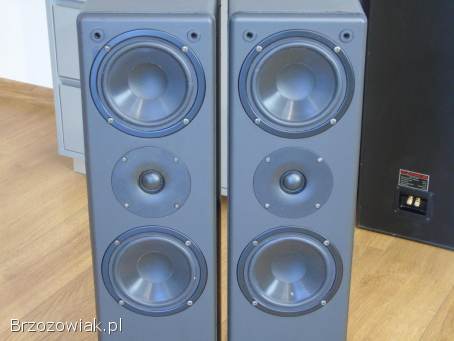 Kolumny IQ Gent 505 Perlless i Vify świetne stereo.  DOSTAWA.